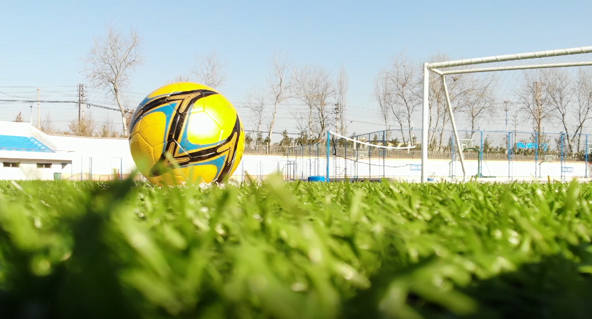 �ҵ���������-���������