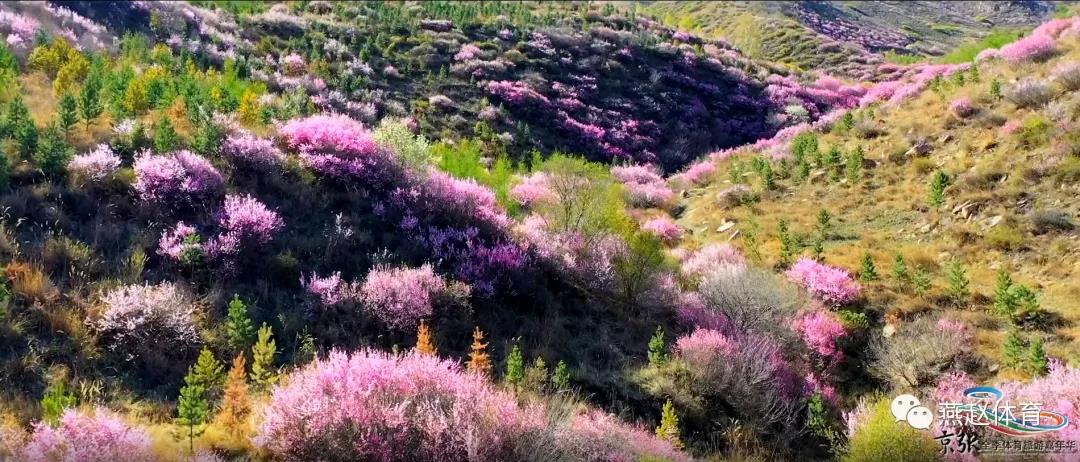 ���ļ��������澩�š�֮�ļ�ƪ