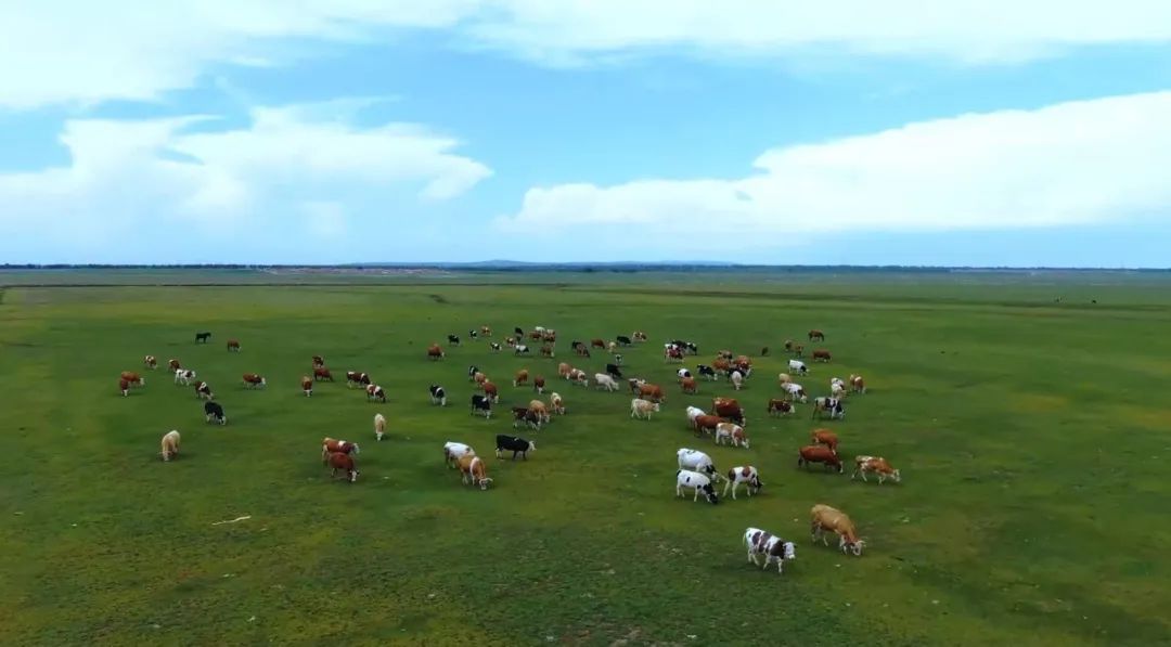 �����ȥ�Ķ�����װ������ȥ������ʷ�ż����ԭ�Ļ��������ں�