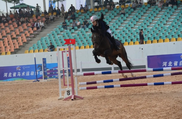 2024��ӱ�ʡ�����������ھ���Բ������