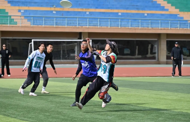 2024�꾩�����ɷ����������ڳе¿���