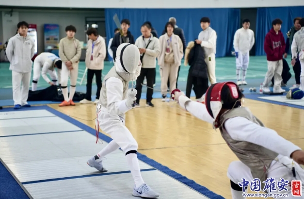 2024��ӱ�ʡ������������������۰������ٰ�