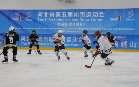 �ӱ�ʡ������ѩ�˶��������Ŀ������飩���ػʵ�����