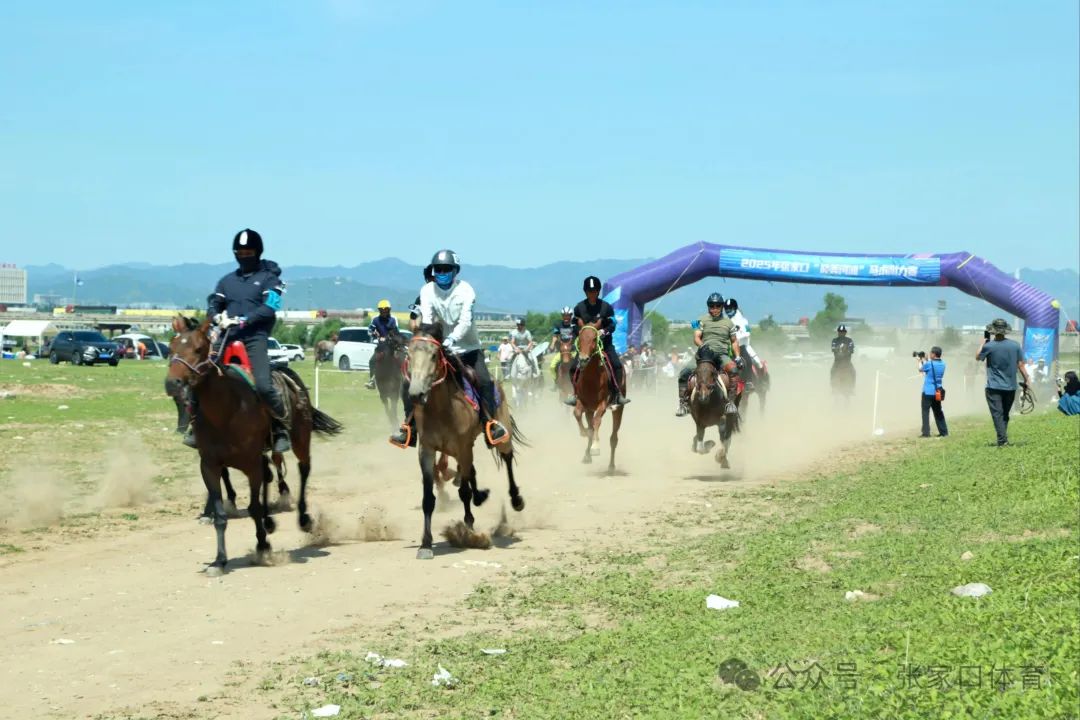 2025���żҿڡ�������̲���������������鿪��