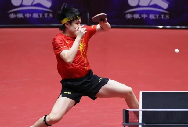 2025ƹ�������۰�վ�����������ҡ����ʷ׳�