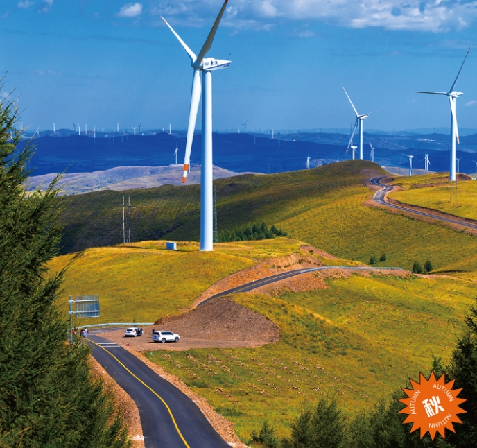 135�����»�����������������飡2025�����������ξ��š����»��������