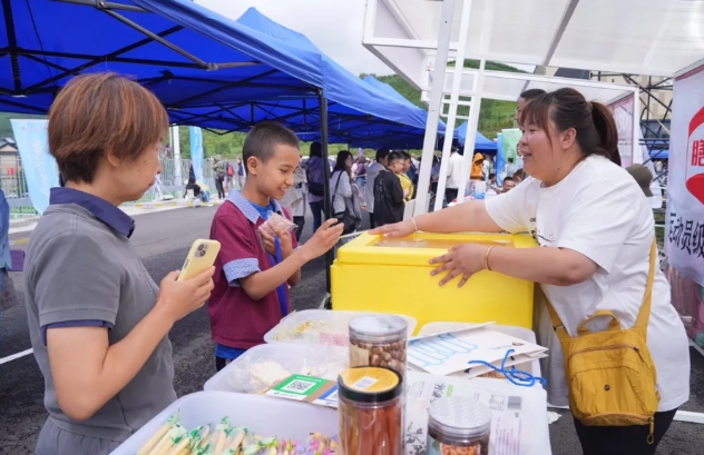 2025��ӱ�ʡ������������������Բ����Ļ