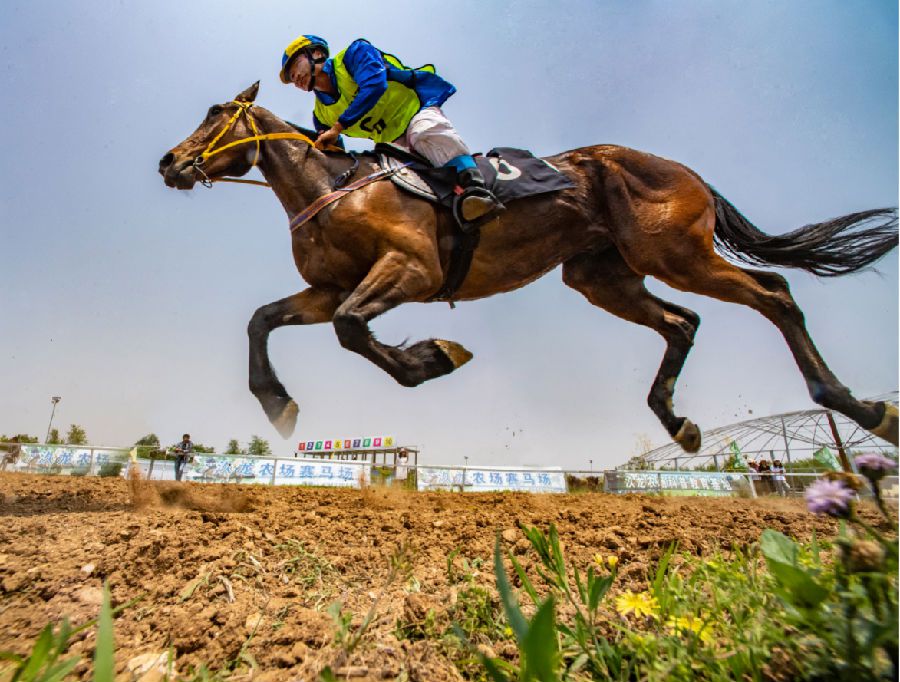 飞跃 拍摄于2019年秦皇岛马速比赛 摄影何勇庆 电话13102500250.png