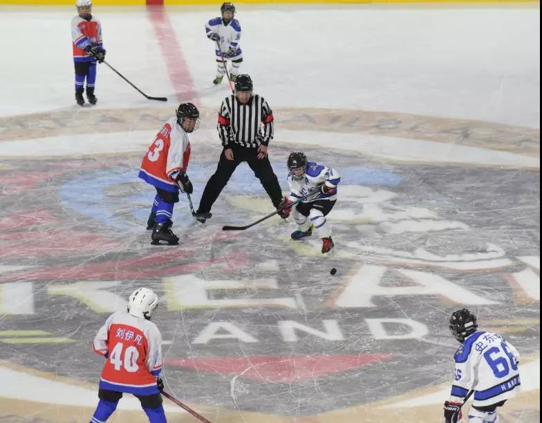 �ӱ�ʡ�׽��ѩ�˶���ʡ���������е������������������������Ŀ��Բ������