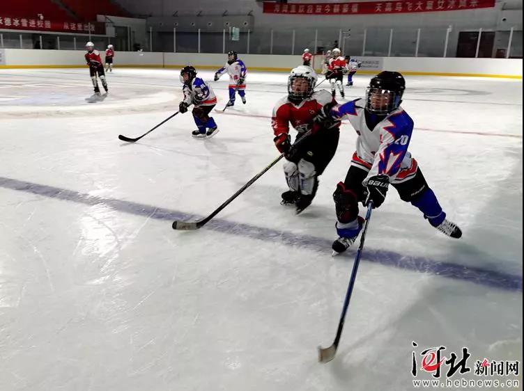 ���ƽ�ӿ��ѩ�˶���չ�����ʡ�����������ȫ����զʵ��