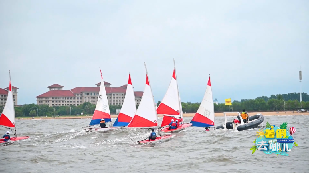 ����ĿԤ�桿���ȥ�Ķ������ػʵ�BSCε�����������﷫��