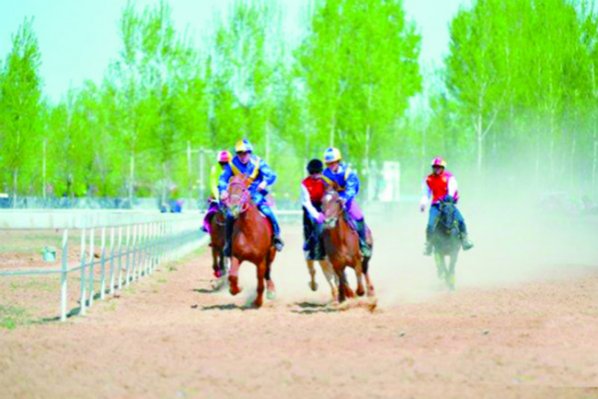 ��ɽ�ٰ��׽���԰����������