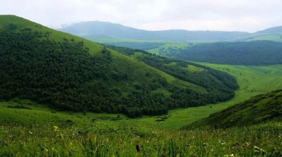 ���ֳ��������򿨡������α��żҿ�