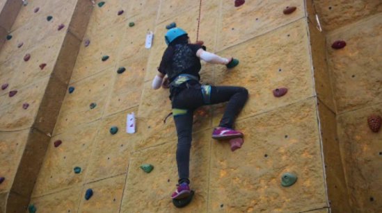 ���ȥ�Ķ���ʯ��ׯ��Щ����Ӫ����ѧ��Ӫ�ص���������