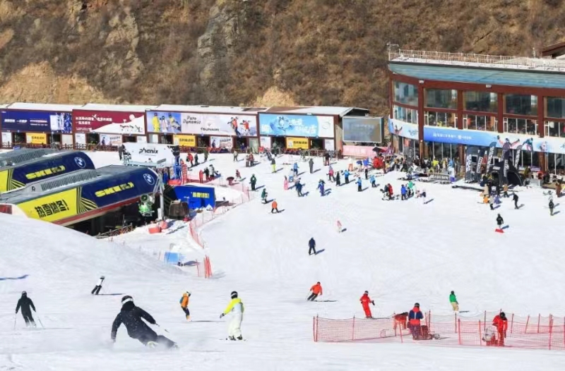 ���񣺳�����ѩ��ͣЪ