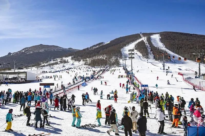 �żҿ��г�����2023-2024ѩ���Ӵ��ο���440���˴Σ��ۺ�����52.43��Ԫ