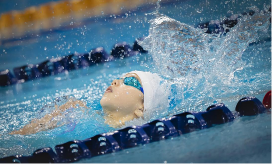 2024��ӱ�ʡ��������Ӿ������Բ����Ļ