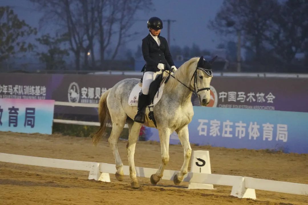 �����ܰɡ����ꡱ��ͯ���������⽡�����2024��ʯ��ׯ����Сѧ������ѡ�����ٰ�