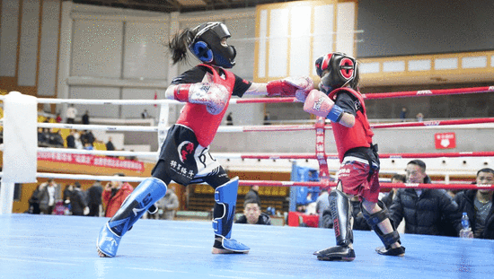 2024���ȷ��С�ս�Ⱦ��������������겫���ܾ�����Ѫ����