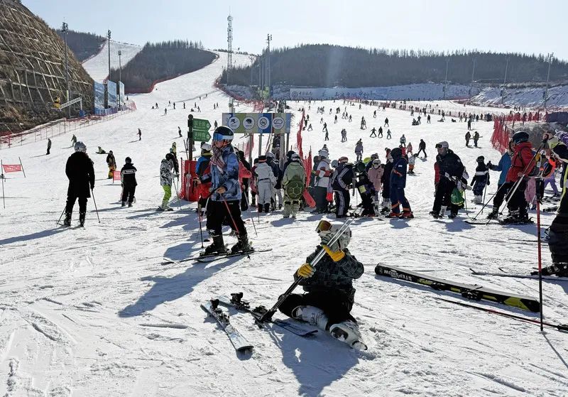 �żҿ���ѩ�������ģ��ȫ����һ