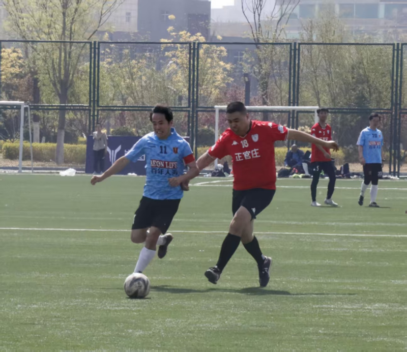 ʯ��ׯ�е��Ľ�ݸ�������������