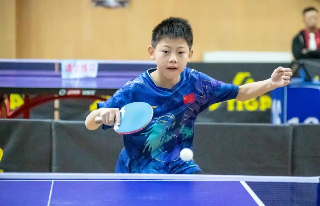 2025�ӱ�ʡ�أ��С�������������ƹ�����������2025��ӱ�ʡ������ƹ���������Ԥ���չ�