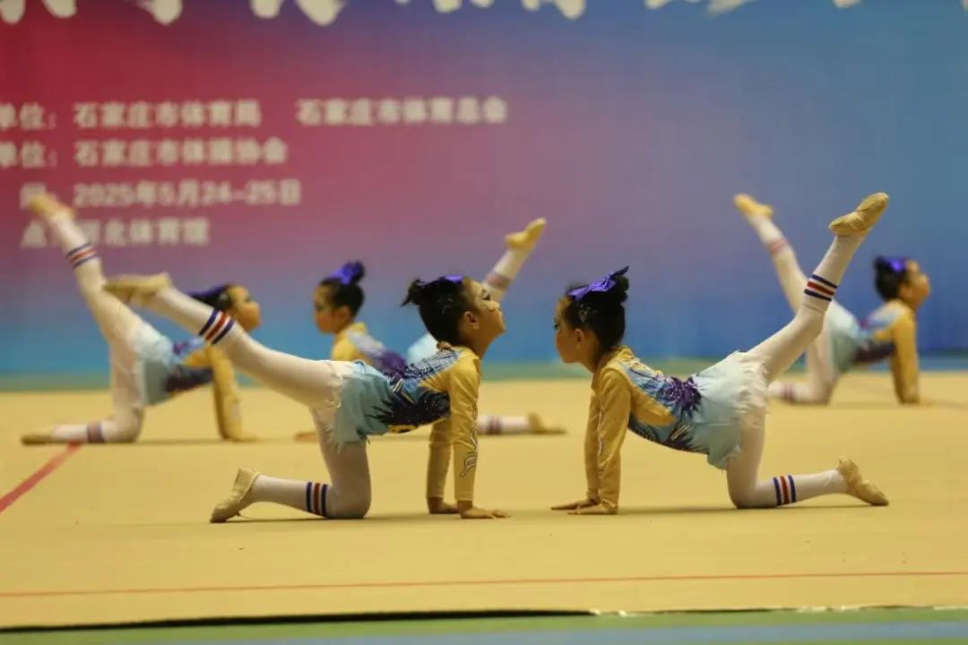 2025�꾩����ټ��껪�ڰ��߹�
�ݿ�Ļ