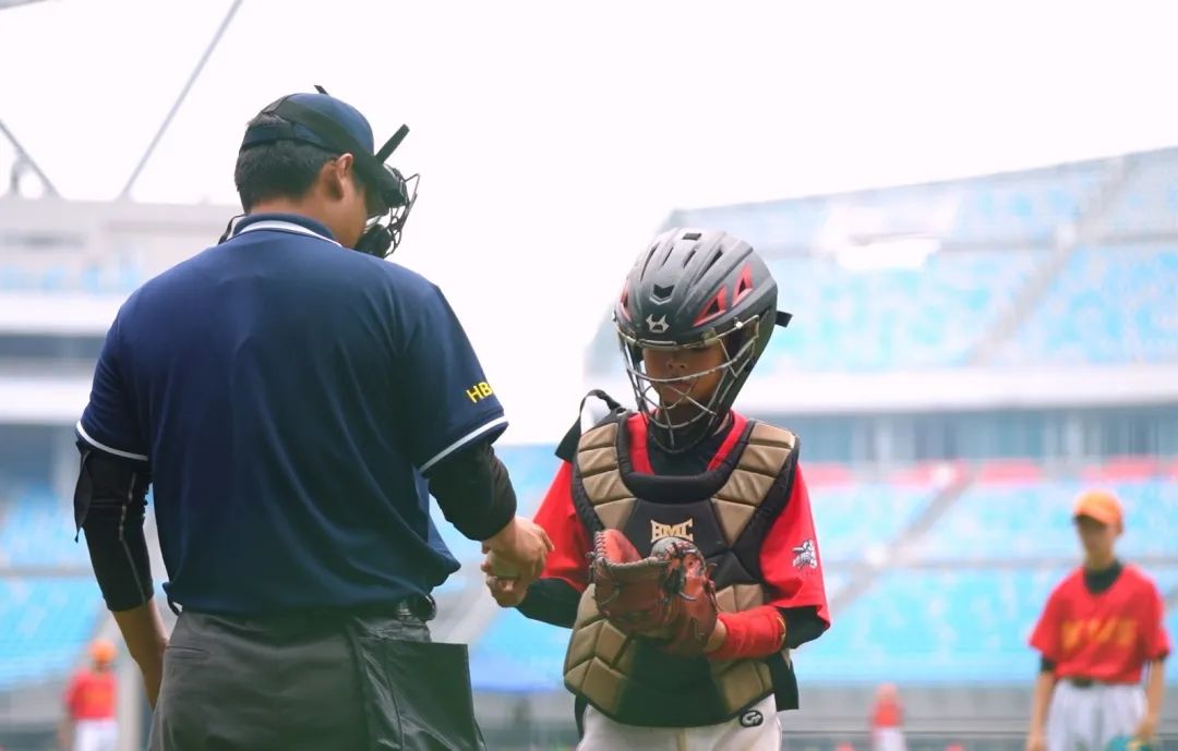 2025��ӱ�ʡ��������������Բ����Ļ