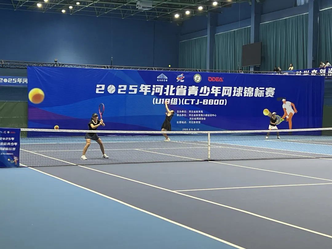 2025��ӱ�ʡ����������������ڰ��߹�
���չ�