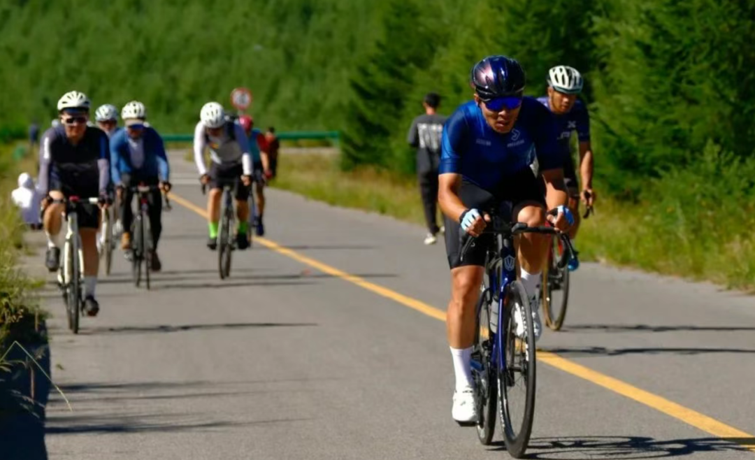 2025��ֹ�����ԭ��·���г���֤���ٰ�